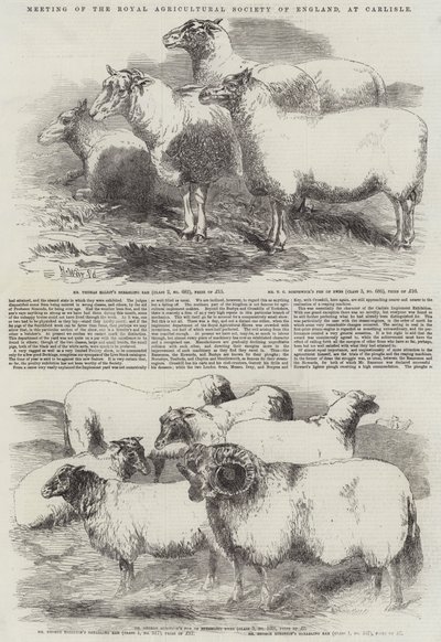Meeting of the Royal Agricultural Society of England, at Carlisle by Harrison William Weir